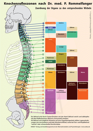 Mini-Poster: Knochenreflexzonen