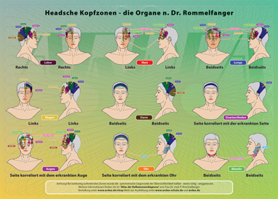 Mini-Poster: Headsche Kopf-Zonen Organe